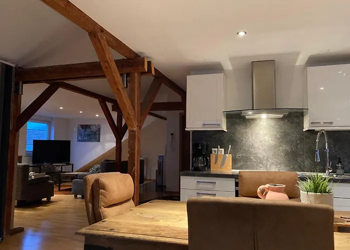 Daire Moderne Mit Offenem Wohnkonzept - Emst *