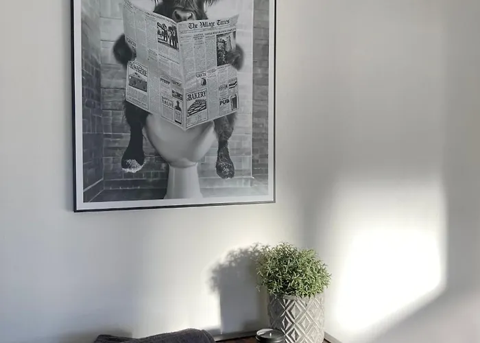 Moderne Mit Offenem Wohnkonzept - Emst *